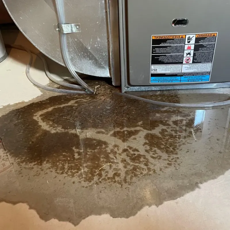 Pipe Burst and Leak Restoration in Wyoming, MI