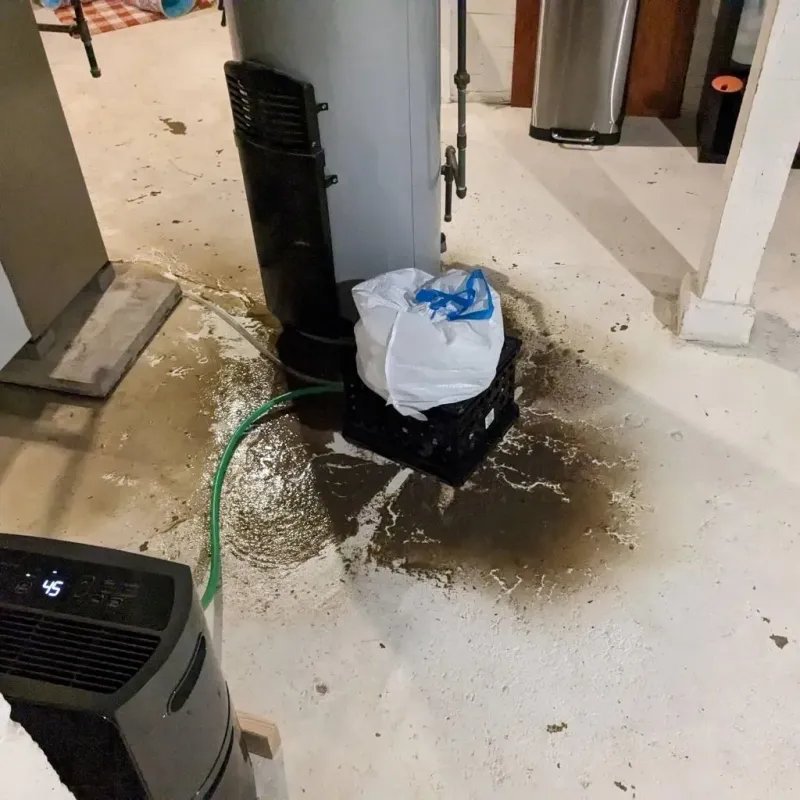 Sewage Backup Cleanup Service in Wyoming, MI